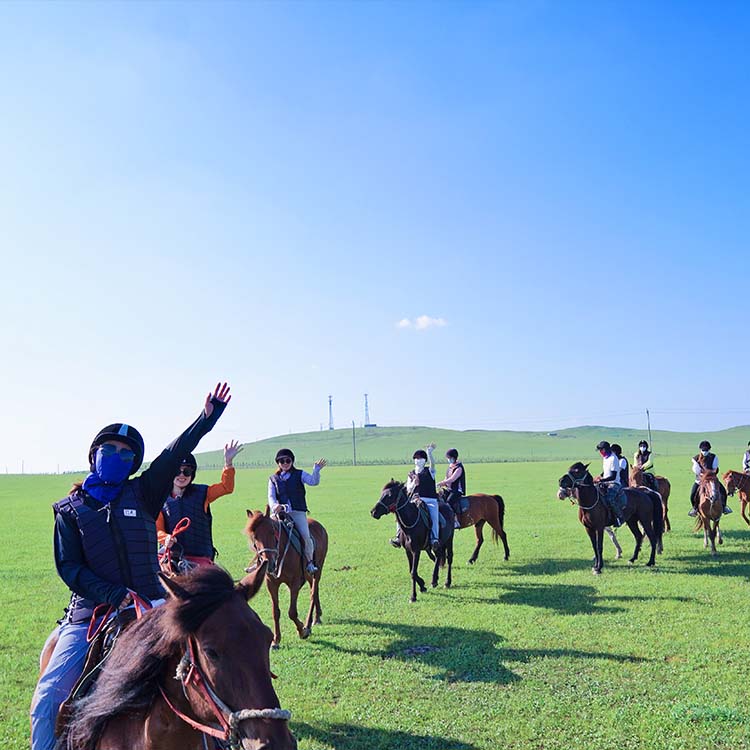 Horse riding training Case